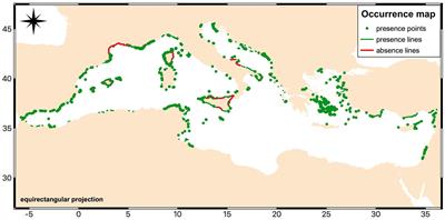 Modeling Macroalgal Forest Distribution at Mediterranean Scale: Present Status, Drivers of Changes and Insights for Conservation and Management